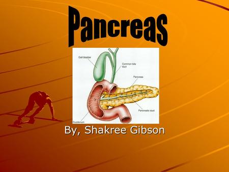 By, Shakree Gibson. Location The pancreas is located deep in the abdomen, between the stomach and the spine. It lies partially behind the stomach. The.