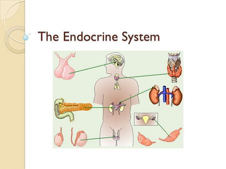 The Endocrine System. Hormones Recall that neurons have the ability to communicate However, this is merely cell-to-cell What if a signal needed to be.