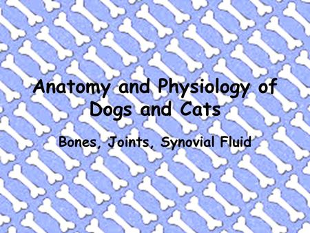 Anatomy and Physiology of Dogs and Cats Bones, Joints, Synovial Fluid.