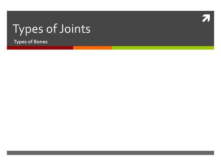  Types of Joints Types of Bones. L0ng Bones  Support weight  Serve as levers  Ex: femur, tibia, humerus.