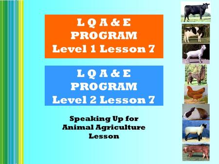 L Q A & E PROGRAM Level 2 Lesson 7 Speaking Up for Animal Agriculture Lesson L Q A & E PROGRAM Level 1 Lesson 7.