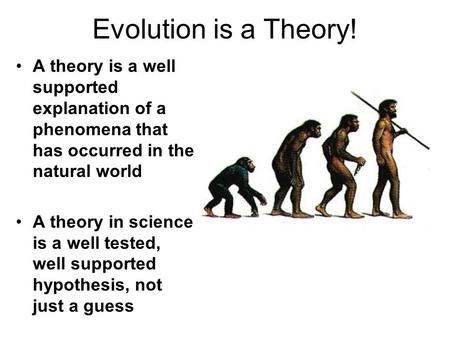 Evolution is a Theory! A theory is a well supported explanation of a phenomena that has occurred in the natural world A theory in science is a well tested,