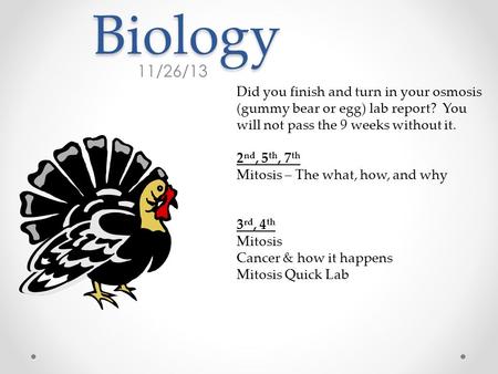Biology 11/26/13 Did you finish and turn in your osmosis (gummy bear or egg) lab report? You will not pass the 9 weeks without it. 2 nd, 5 th, 7 th Mitosis.