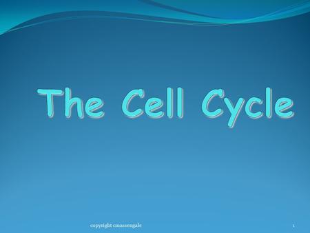 The Cell Cycle copyright cmassengale.