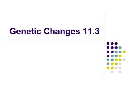 Genetic Changes 11.3.