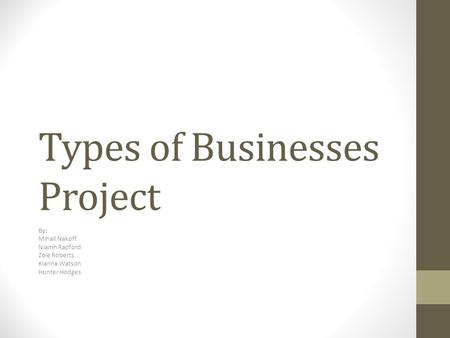 Types of Businesses Project By: Mihail Nakoff Niamh Radford Zoie Roberts Kianna Watson Hunter Hodges.
