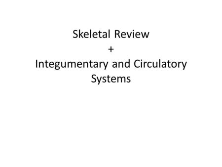 Skeletal Review + Integumentary and Circulatory Systems