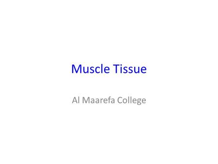Muscle Tissue Al Maarefa College. Objectives Identify basic structure of Muscles Recognize types of muscular tissues and the difference between them Recognize.