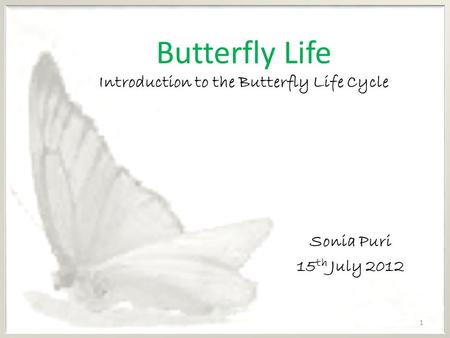 Butterfly Life Introduction to the Butterfly Life Cycle