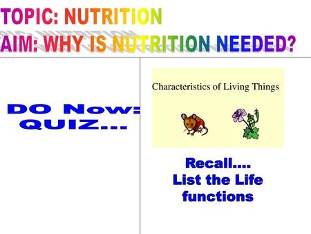 NUTRITION A life function When organisms take in & use nutrients needed for energy & all life processes.