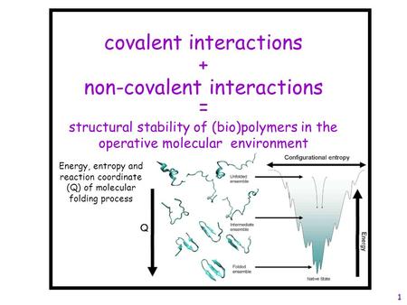 Covalent interactions non-covalent interactions + = structural stability of (bio)polymers in the operative molecular environment 1 Energy, entropy and.