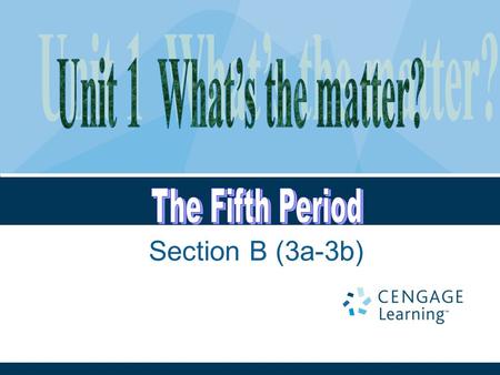 Section B (3a-3b). Unit 1: What’s the matter? Period 5.