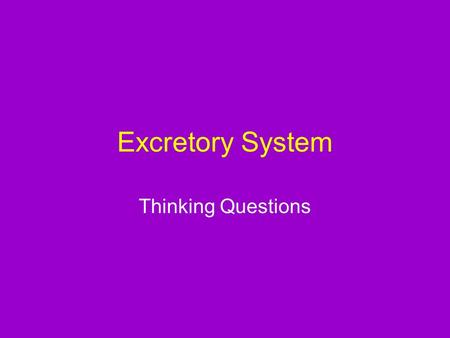 Excretory System Thinking Questions. Describe the functions of a person's urinary system.