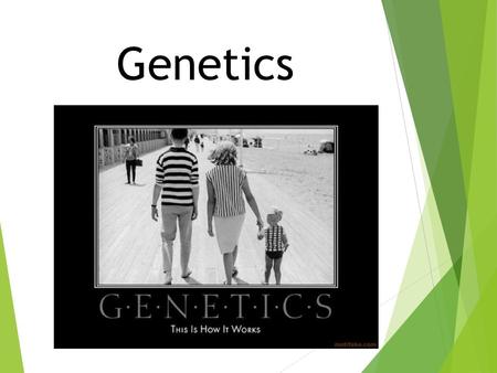 Genetics. New Learning Goal:  To describe how genetics are passed from one generation to another.