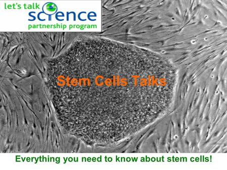 Stem Cells Talks Everything you need to know about stem cells!