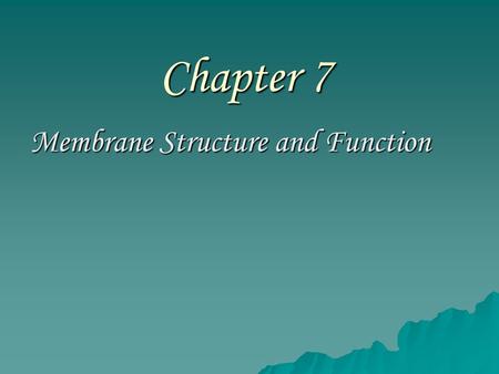 Chapter 7 Membrane Structure and Function. –The plasma membrane is located at the boundary of every cell –It functions as a selective barrier –It allows.