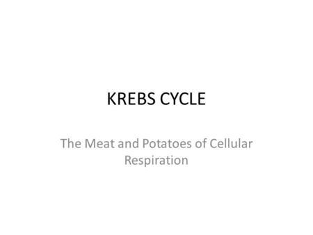 The Meat and Potatoes of Cellular Respiration