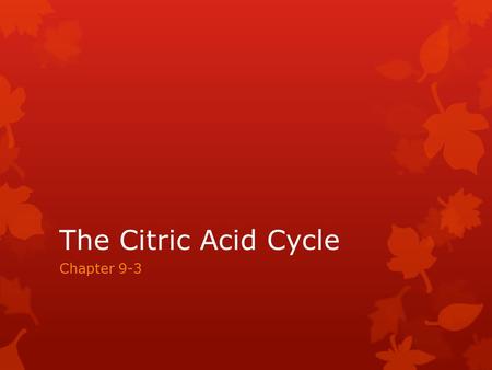 The Citric Acid Cycle Chapter 9-3. The Second Phase The Citric Acid cycle is just the second step towards harvesting energy as glycolysis has already.