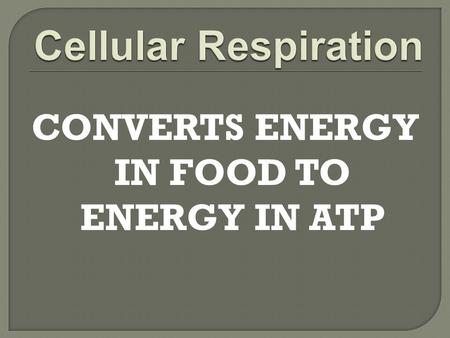 CONVERTS ENERGY IN FOOD TO ENERGY IN ATP.  Involves over 25 chemical reactions  Occurs in cytoplasm and mitochondria  Can be divided into three main.