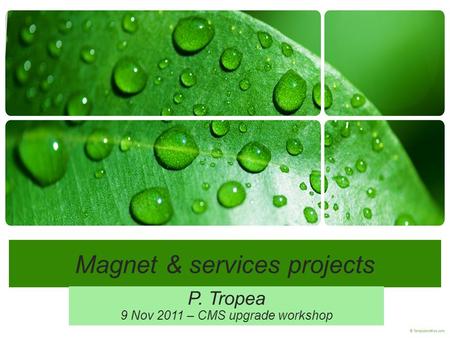 Magnet & services projects P. Tropea 9 Nov 2011 – CMS upgrade workshop.