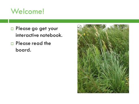 Welcome!  Please go get your interactive notebook.  Please read the board.