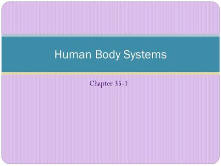 Human Body Systems Chapter 35-1.