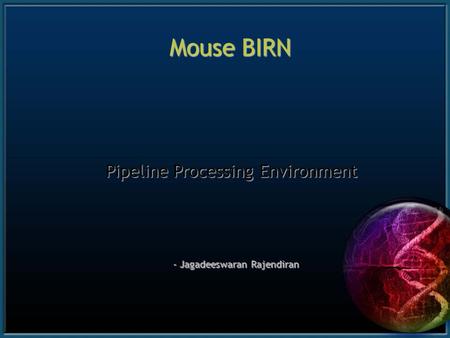 Mouse BIRN - Jagadeeswaran Rajendiran Pipeline Processing Environment.