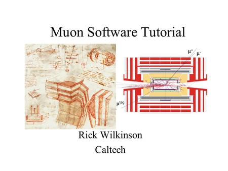 Muon Software Tutorial Rick Wilkinson Caltech. The Basics Q: Is there a Muon class? A : No. A muon is just a RecTrack, the same class as the Tracker uses.
