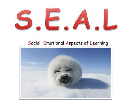 Social Emotional Aspects of Learning. Resource needed! Paper Pencils Colouring pencil/pens.