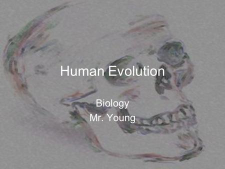 Human Evolution Biology Mr. Young. Paleoanthropologist Scientist that studies human evolution from fossils.