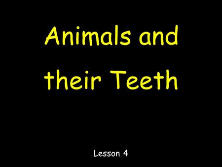 Animals and their Teeth Lesson 4. Study these animals and look at their teeth if you can !!!