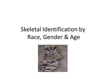 Skeletal Identification by Race, Gender & Age