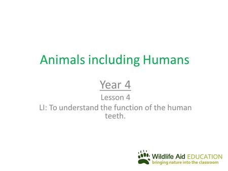 Animals including Humans