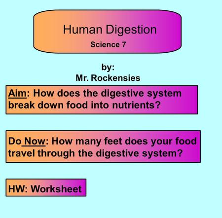 Human Digestion Science 7 by: Mr. Rockensies Aim: How does the digestive system break down food into nutrients? Do Now: How many feet does your food travel.