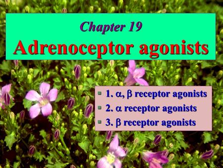 Chapter 19 Adrenoceptor agonists §1. ,  receptor agonists §2.  receptor agonists §3.  receptor agonists.