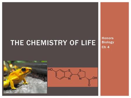 Honors Biology Ch 4 THE CHEMISTRY OF LIFE.  M1: Ecology  Study of large scale stuff  M2: Molecules to Organisms  Study of really small scale stuff.