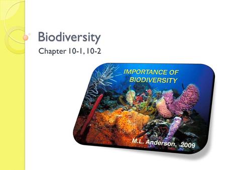Biodiversity Chapter 10-1, 10-2. Biodiversity Objectives 11 Ch. 10-1 1. Describe the diversity of species types on Earth, relating the differences between.