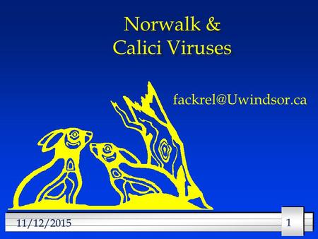 Norwalk & Calici Viruses