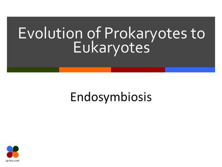 Evolution of Prokaryotes to Eukaryotes Endosymbiosis.