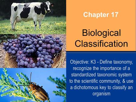 Biological Classification Chapter 17 Objective: K3 - Define taxonomy, recognize the importance of a standardized taxonomic system to the scientific community,