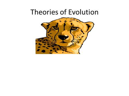 Theories of Evolution.
