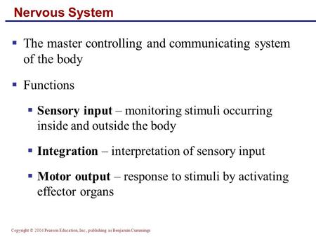 Copyright © 2004 Pearson Education, Inc., publishing as Benjamin Cummings Nervous System  The master controlling and communicating system of the body.