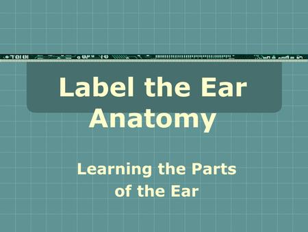 Label the Ear Anatomy Learning the Parts of the Ear.