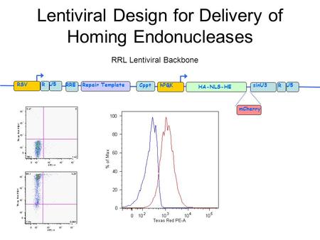 Lentiviral Design for Delivery of Homing Endonucleases mCherry HA-NLS-HE RSVR U5 hPGK R U5sinU3 Repair Template Cppt RRE RRL Lentiviral Backbone.