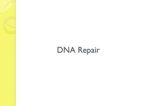 DNA Repair. DNA repair refers to a collection of processes by which a cell identifies and corrects damage to the DNA molecules that encode its genome.