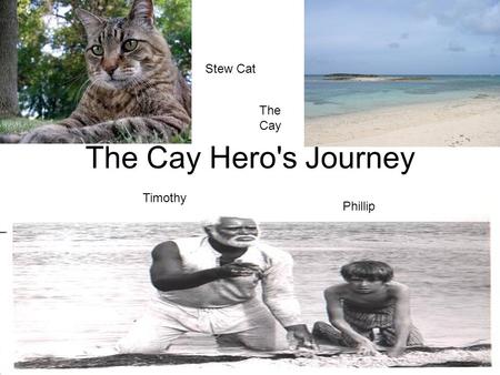 Stew Cat The Cay The Cay Hero's Journey Timothy Phillip By Carmen.