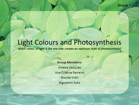 Group 1 Light Colours and Photosynthesis Which colour of light is the one that creates an optimum level of photosynthesis? Group Members: Jimena Vasquez.