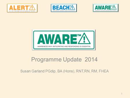 Programme Update 2014 Susan Garland PGdip, BA (Hons), RNT,RN, RM, FHEA 1.