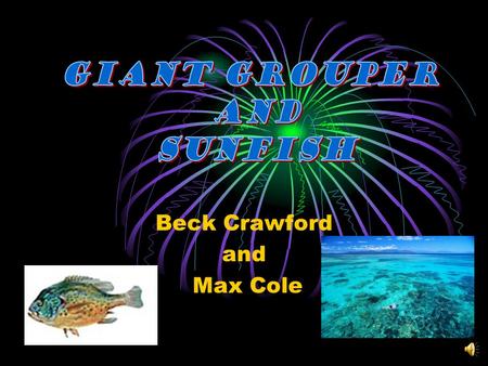 Beck Crawford and Max Cole There are five different groups of animals with vertebrates. Mammals Reptiles Fish They usually have scales and fins. Amphibians.