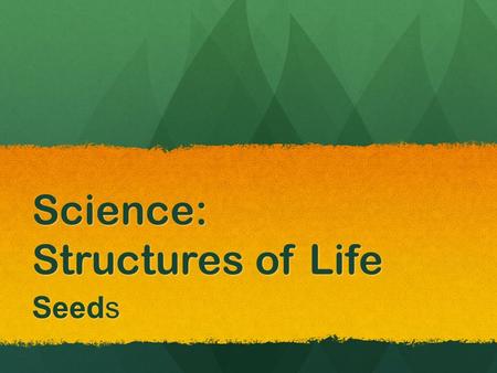 Science: Structures of Life Seeds. Properties Property: the characteristic of an object or something you can observe about an object. Properties can include.